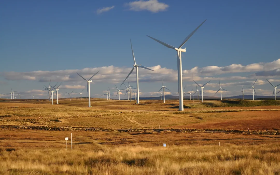 Investing In Renewable Energy In Texas